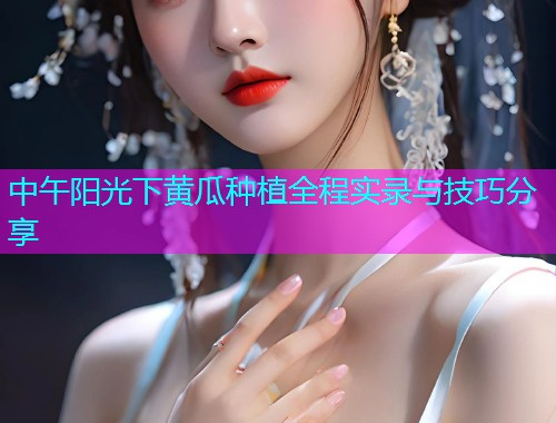 中午阳光下黄瓜种植全程实录与技巧分享