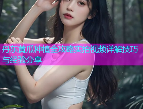 丹东黄瓜种植全攻略实拍视频详解技巧与经验分享