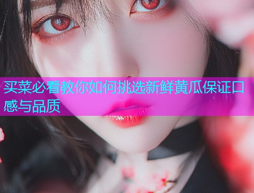 买菜必看教你如何挑选新鲜黄瓜保证口感与品质