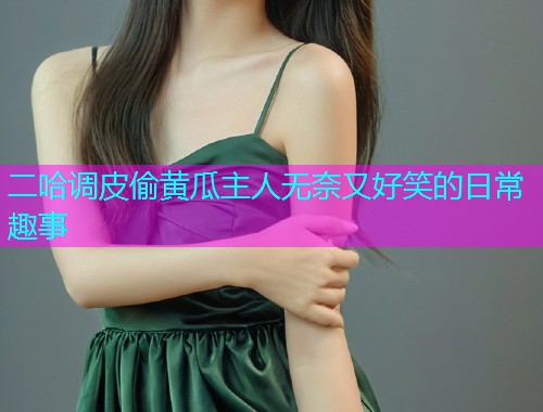 二哈调皮偷黄瓜主人无奈又好笑的日常趣事