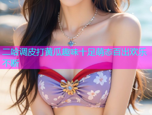 二哈调皮打黄瓜趣味十足萌态百出欢乐不断