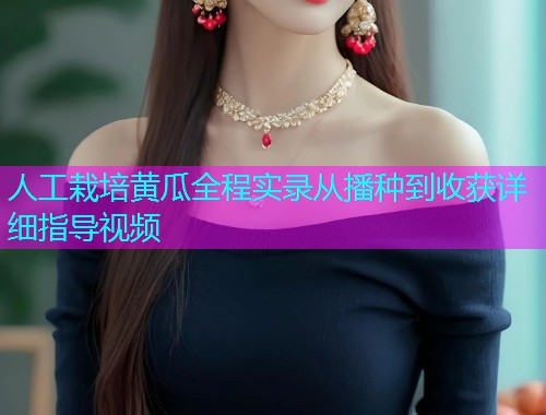 人工栽培黄瓜全程实录从播种到收获详细指导视频
