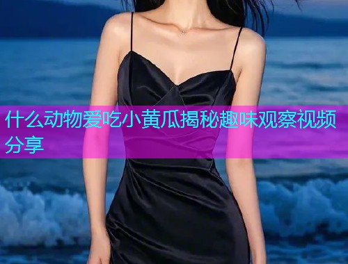什么动物爱吃小黄瓜揭秘趣味观察视频分享