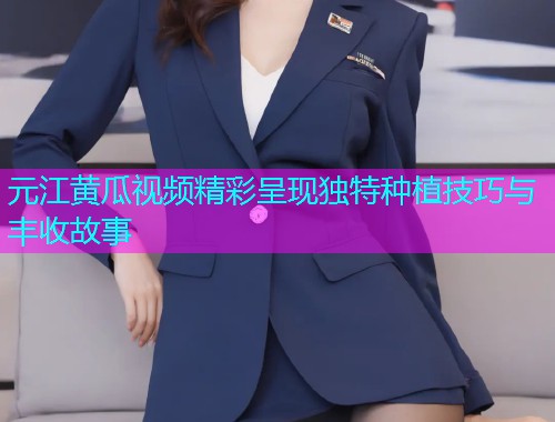 元江黄瓜视频精彩呈现独特种植技巧与丰收故事