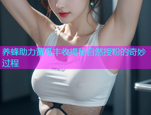 养蜂助力黄瓜丰收揭秘自然授粉的奇妙过程