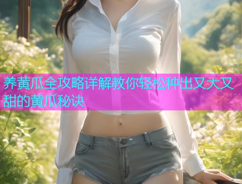 养黄瓜全攻略详解教你轻松种出又大又甜的黄瓜秘诀