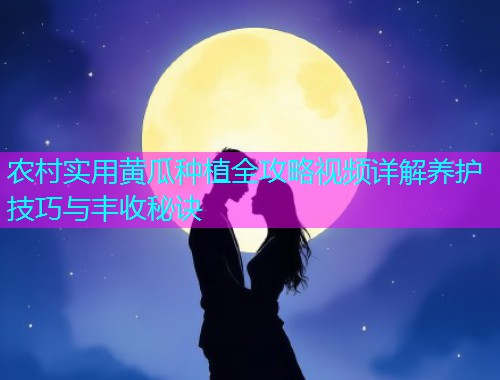 农村实用黄瓜种植全攻略视频详解养护技巧与丰收秘诀