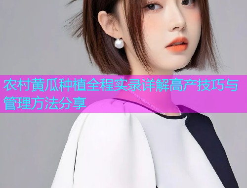 农村黄瓜种植全程实录详解高产技巧与管理方法分享