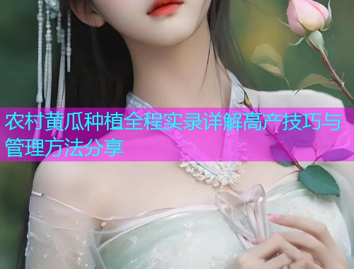 农村黄瓜种植全程实录详解高产技巧与管理方法分享