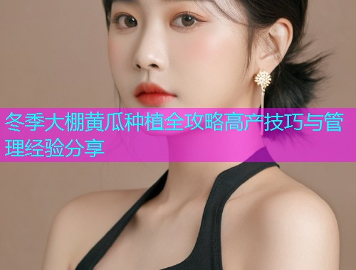 冬季大棚黄瓜种植全攻略高产技巧与管理经验分享