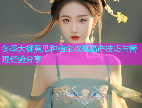 冬季大棚黄瓜种植全攻略高产技巧与管理经验分享