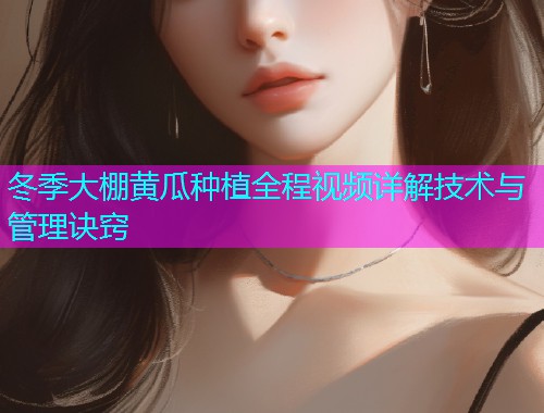 冬季大棚黄瓜种植全程视频详解技术与管理诀窍