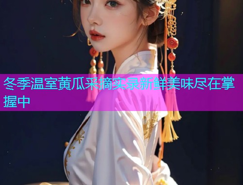冬季温室黄瓜采摘实录新鲜美味尽在掌握中