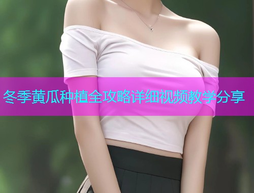 冬季黄瓜种植全攻略详细视频教学分享