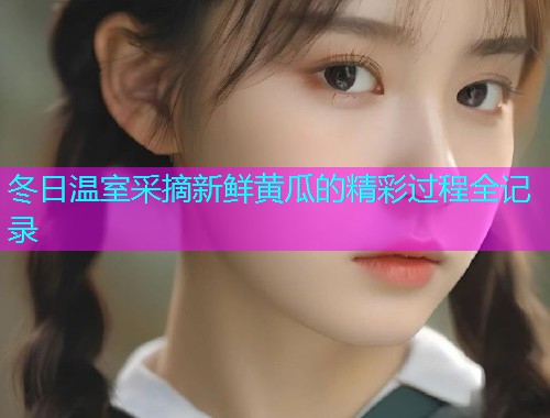 冬日温室采摘新鲜黄瓜的精彩过程全记录