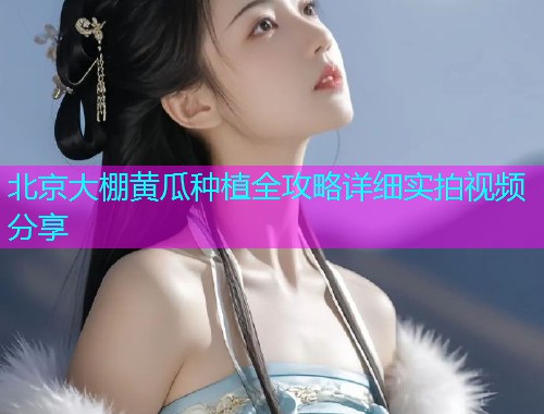 北京大棚黄瓜种植全攻略详细实拍视频分享