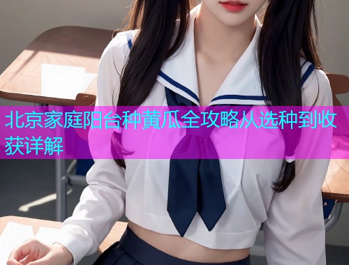 北京家庭阳台种黄瓜全攻略从选种到收获详解