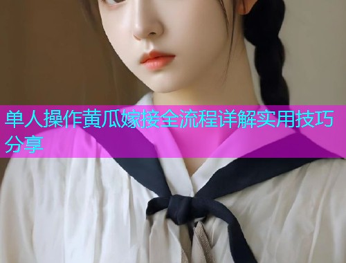 单人操作黄瓜嫁接全流程详解实用技巧分享