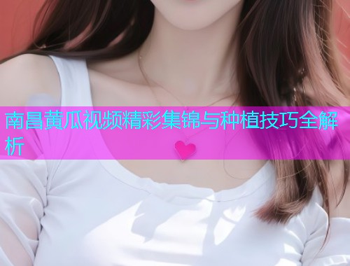 南昌黄瓜视频精彩集锦与种植技巧全解析