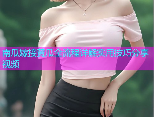 南瓜嫁接黄瓜全流程详解实用技巧分享视频