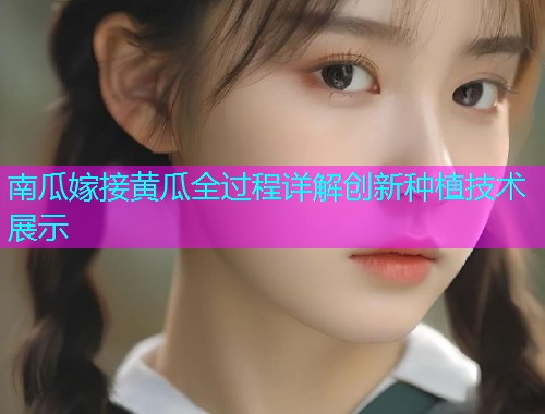 南瓜嫁接黄瓜全过程详解创新种植技术展示