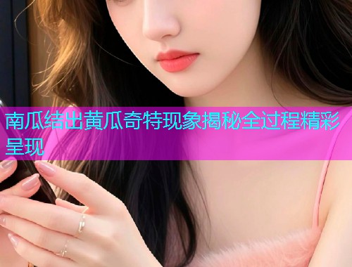 南瓜结出黄瓜奇特现象揭秘全过程精彩呈现