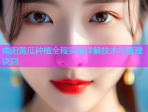 南阳黄瓜种植全程实录详解技术与管理诀窍