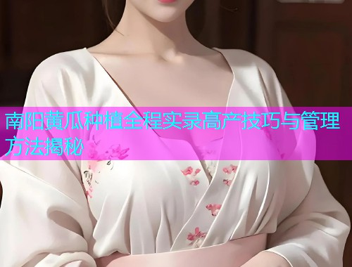 南阳黄瓜种植全程实录高产技巧与管理方法揭秘