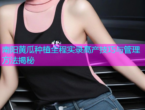 南阳黄瓜种植全程实录高产技巧与管理方法揭秘