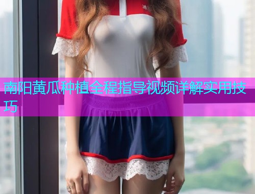 南阳黄瓜种植全程指导视频详解实用技巧
